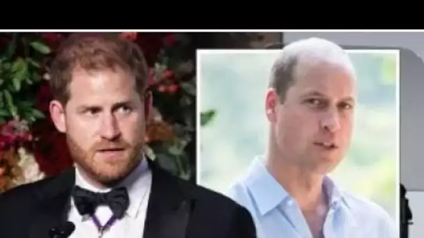 Mémoires du prince Harry: Duke "en a marre" William "a toujours mieux" - expert