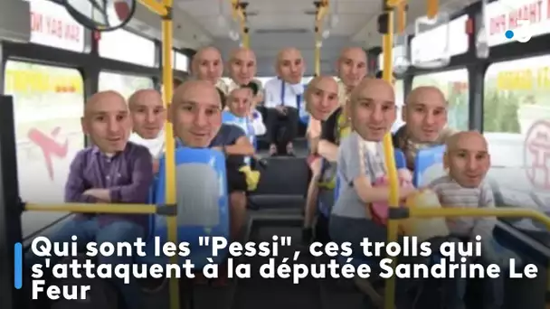 Qui sont les "Pessi", ces trolls qui s'attaquent à la députée Sandrine Le Feur