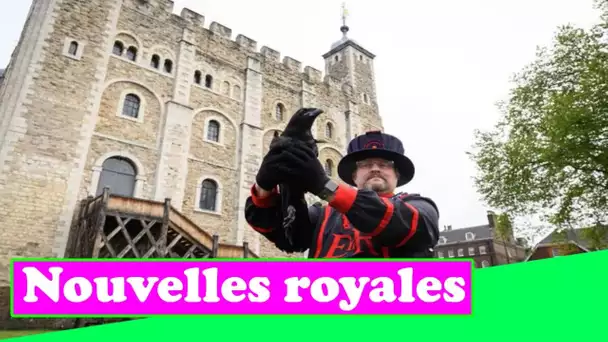 Envie de 30 000 £ par an et d'un appartement dans la Tour de Londres ? Les Beefeaters recrutent