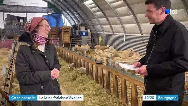 Ça Se Passe Ici - à Avallon (Yonne) : La renaissance de la filière laine dans le Morvan ?