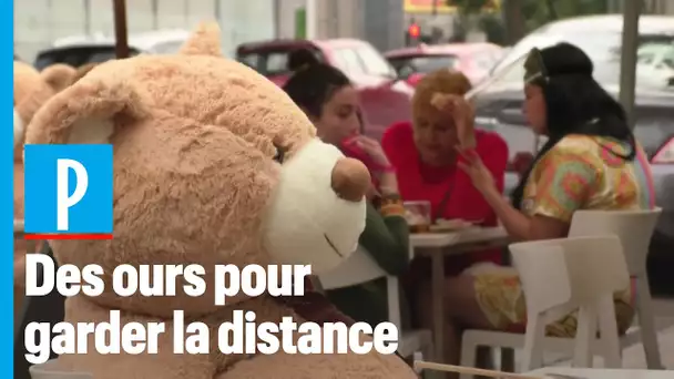 Des ours en peluche pour garder la distance dans un café au Mexique