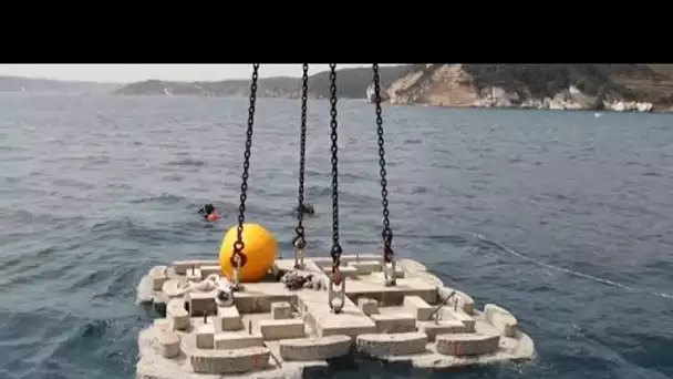 En Corse, un nouveau type de bouée pour protéger les fonds marins des ancres des bateaux