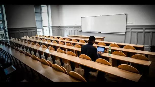 Coronavirus : même les jeunes les plus diplômés n'échappent pas à la crise