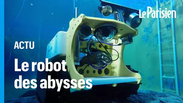 BathyBot, le robot pour percer le mystère de la vie des abysses en Méditerranée