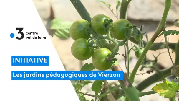 Vierzon : et si on partageait un bout de jardin ?