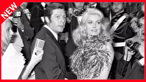 ✅  Catherine Deneuve et Marcello Maistroianni : une passion interdite