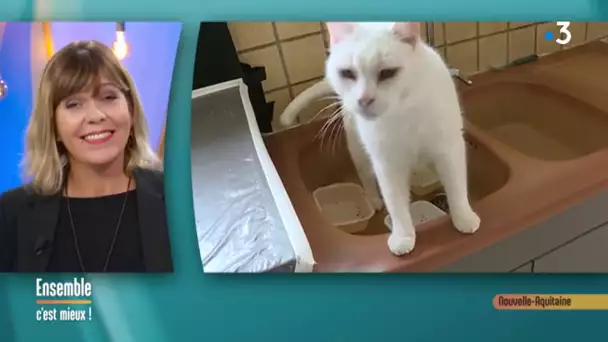 Prenez la Parole - Association de Défense des droits des Chats en Liberté - ECM - 24/09/2019