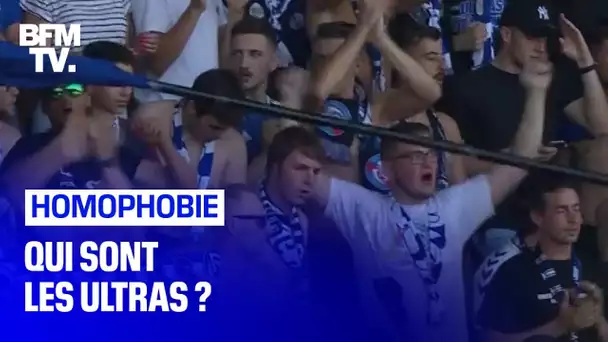 Accusés d'homophobie, qui sont les ultras ?