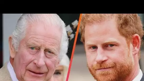 Une entreprise de santé mentale verse au prince Harry « 1 million de livres sterling par an », quali