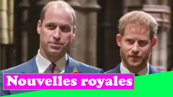 La querelle entre William et Harry comparée à la relation « inconfortable » de Diana et Charles « si