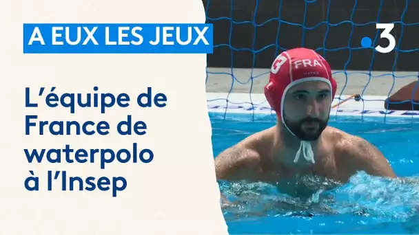 À eux les jeux : préparation pour les championnats d'Europe avec l'équipe de France de waterpolo