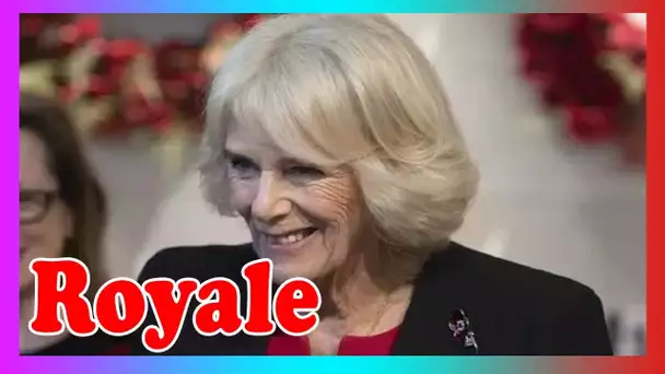 Camilla met la touche finale à la couronne du souvenir av@nt le jour de l'armistice