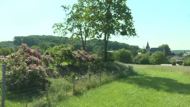 Coronavirus : Chedigny, un village solidaire