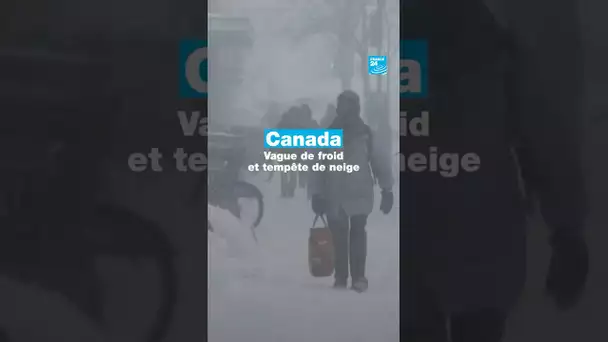 Le #Canada fait face à de fortes tempêtes de neige FRANCE 24