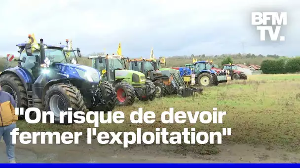 Crise agricole: de nouvelles mobilisations d'agriculteurs près de Paris et de Lyon