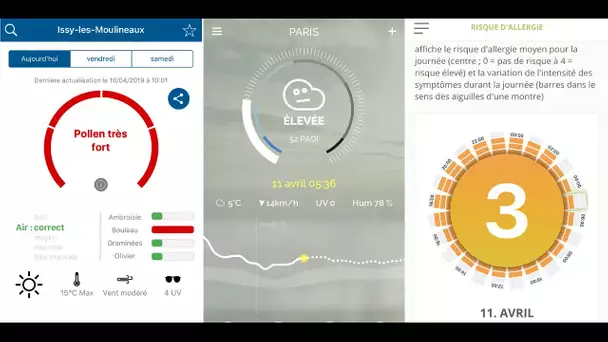 Allergies : trois applications pour anticiper les pics de pollen