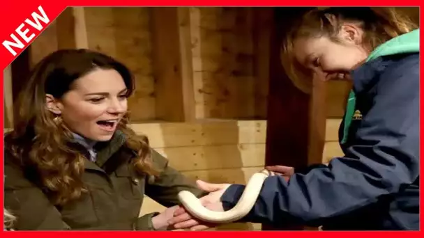 ✅  Kate Middleton “charmeuse de serpent”, la photo qui étonne