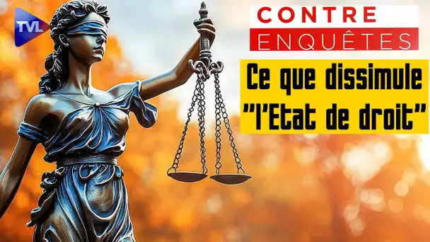 Affaire Philippine, ce que dissimule "l'Etat de droit" - Contre-enquêtes - TVL