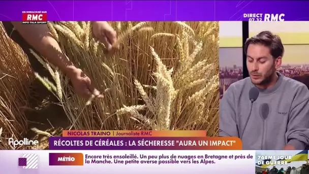 Récoltes de céréales : la sécheresse "aura un impact", alerte le ministère de l’Agriculture