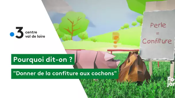 Pourquoi dit-on : donner de la confiture aux cochons ?