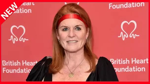 ✅  Sarah Ferguson : son étonnante reconversion sur le petit écran