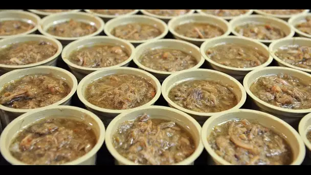 "Une première mondiale" : des Sarthois viennent d'élaborer une eau de vie à base de rillettes