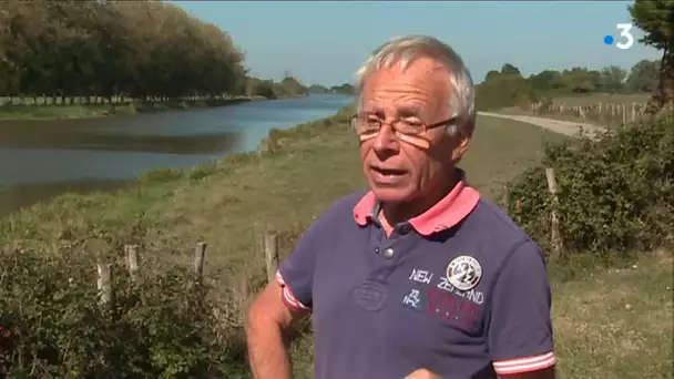 Le Canal de La Martinière, cordon ombilical entre Nantes et l'océan.