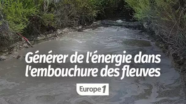 Générer de l'énergie dans l'embouchure des fleuves