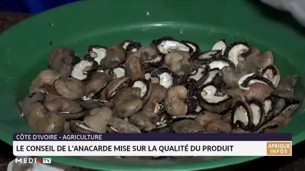 Le conseil de l´anacarde mise sur la qualité du produit