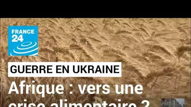 Un mois de guerre en Ukraine : en Afrique, la menace d'une crise alimentaire • FRANCE 24