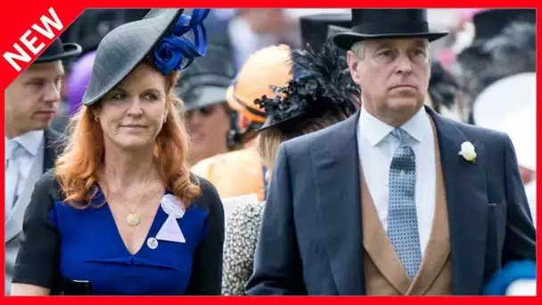 ✅  Comme Andrew et Sarah Ferguson… Ces couples qui ne se quittent jamais vraiment