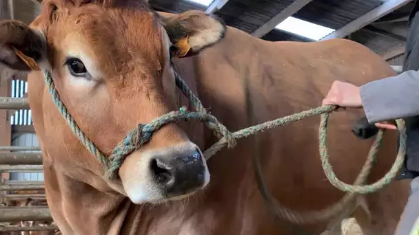 La Parthenaise à l'honneur au Salon de l'agriculture