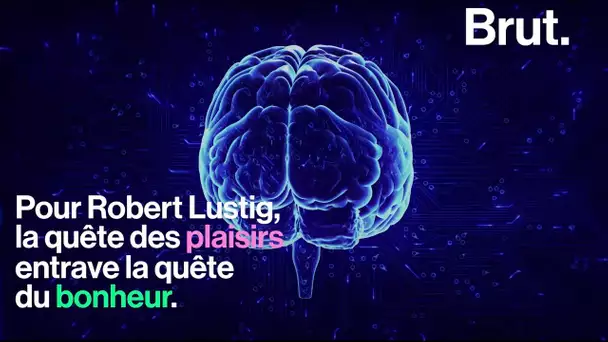 Plaisirs ≠ bonheur : la théorie scientifique sur le bonheur de Robert Lustig