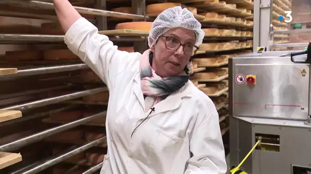 Fromages morbiers contaminés à la salmonelle