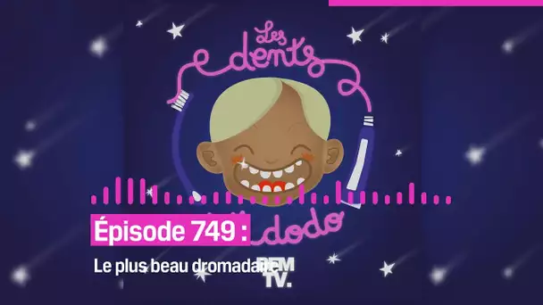 Les dents et dodo - “Épisode 749 : Le plus beau dromadaire”