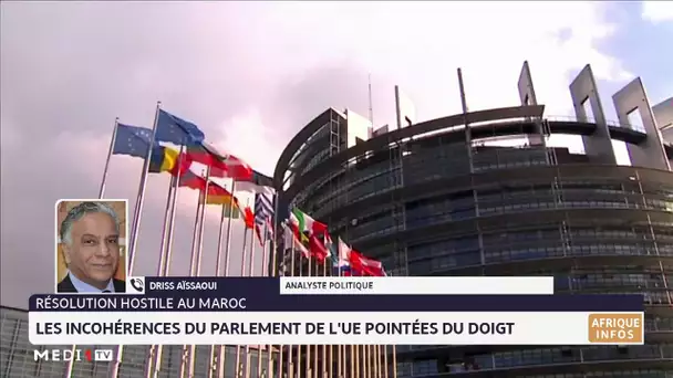 Résolution du parlement européen : L'analyse de Driss Aissaoui