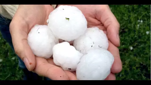 Orage dans la Drôme : "des impacts qui auraient tué des enfants de deux ans"