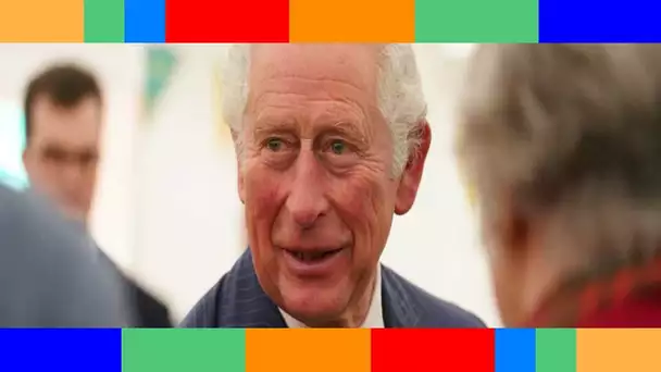 Le prince Charles chamboule Buckingham Palace  il compte faire de grands travaux