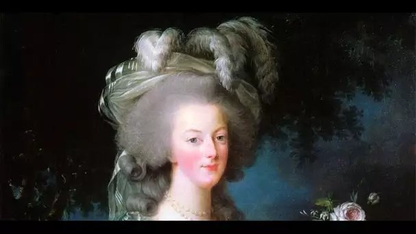 Les cheveux de Marie-Antoinette