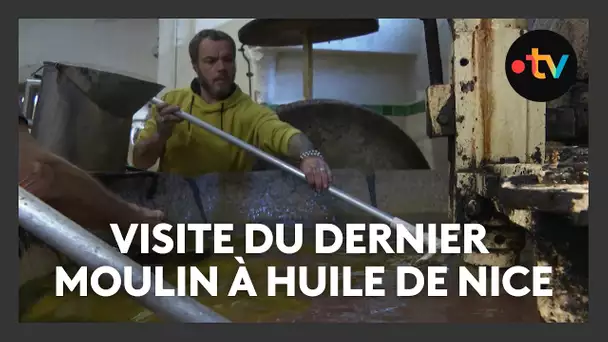 Visite du dernier moulin à huile de Nice : le moulin Alziari