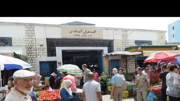 Présidentielle en Tunisie : "La Révolution française a pris du temps, la nôtre aussi"