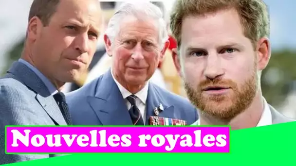 Harry a averti de "communiquer" avec William et Charles avant les mémoires: "Contexte manquant"