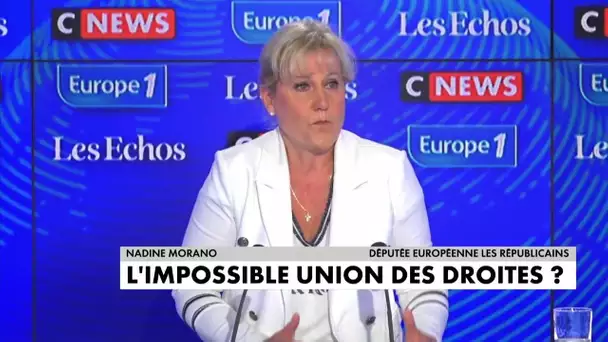 "Avoir une femme à Matignon pourquoi pas, mais pour quoi faire ?" (Nadine Morano)