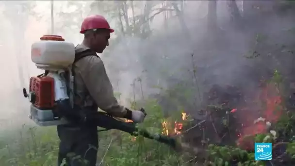 Feux de forêt en Sibérie : L'armée mobilisée pour aider les pompier