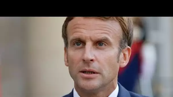 Macron, les avantages du neutre, les risques du fade, par François Bazin