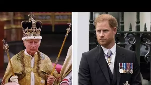 Le prince Harry snobé dans le documentaire de la BBC King Charles alors que les membres de la famill