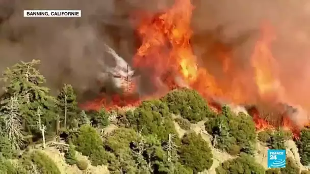 Incendies en Californie : des milliers de personnes évacuées