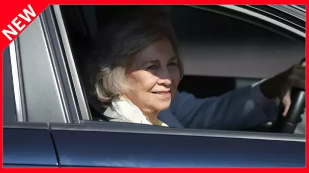 ✅  Exil de Juan Carlos : la reine Sofia fait une surprenante apparition