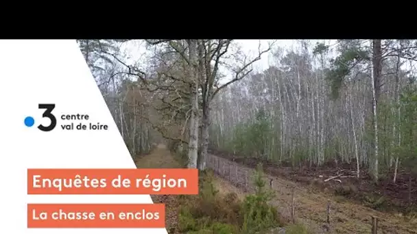 Enquêtes de région : la chasse en enclos