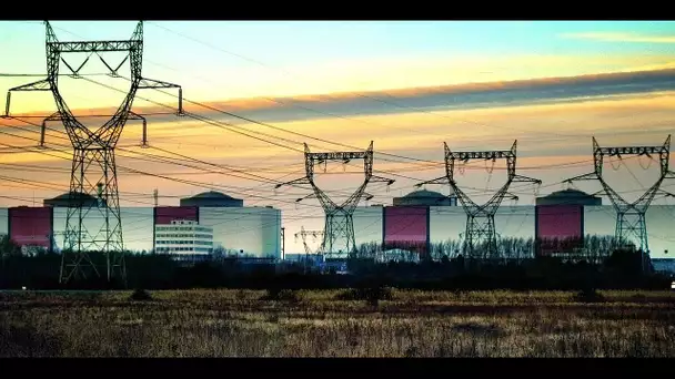 À Gravelines, près de "la Géante", une centrale nucléaire qui "fait partie de l'environnement"